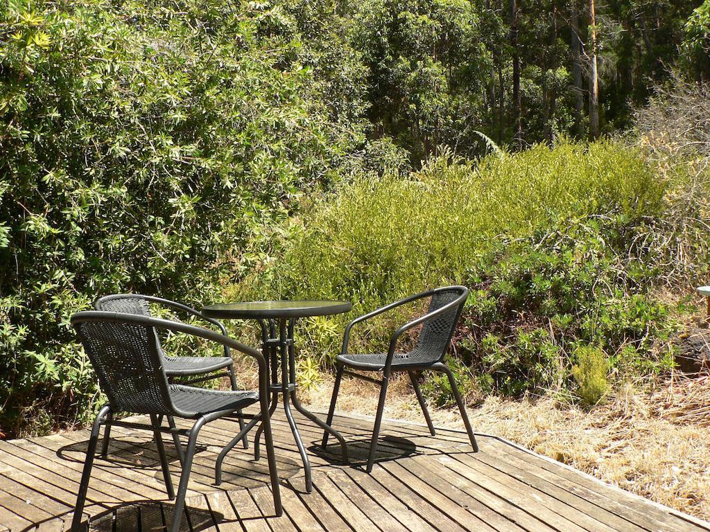 Bombina Cottages Denmark Rom bilde